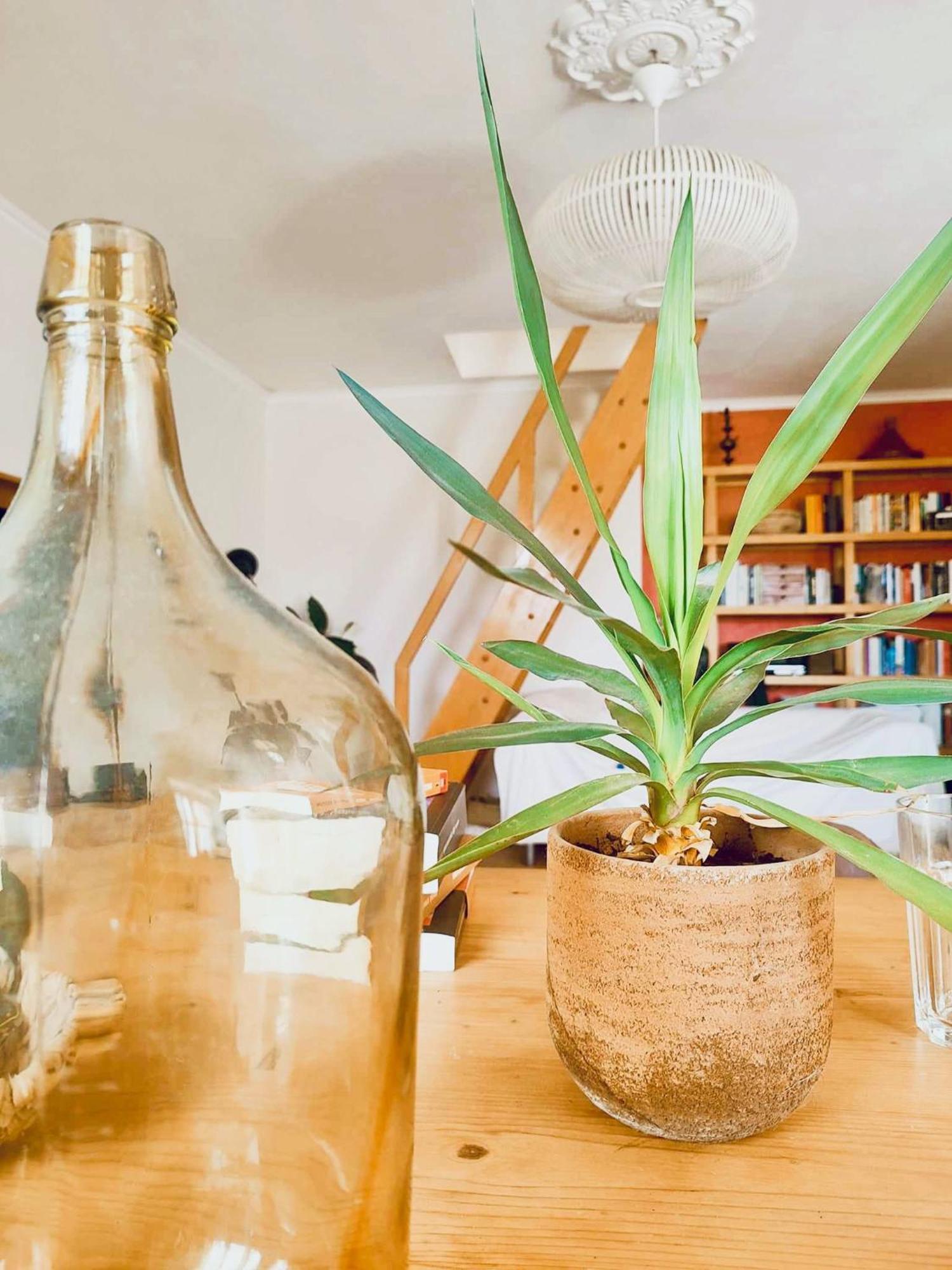 Apartmento Soma Aljezur Dış mekan fotoğraf